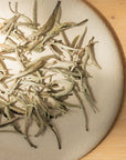 Jasmin Silverneedle