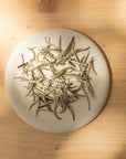 Jasmin Silverneedle