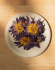 Blauer Lotus